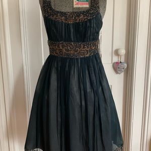 Stunning Adrianna Papell evening dress